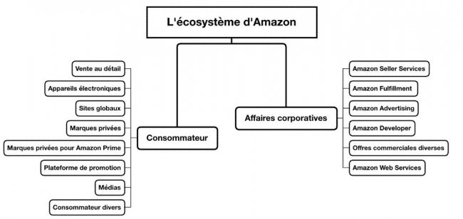 ecosystème amazon