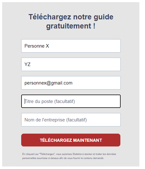 formulaire lead gen champs visibles