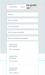 champs caches lead form